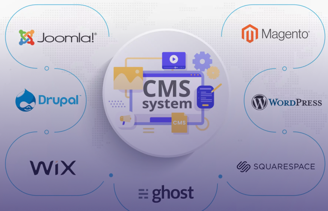 Which CMS is Best for SEO?