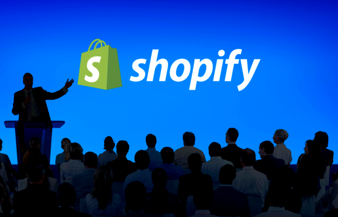 Leveraging Shopify Audiences for Targeted Marketing