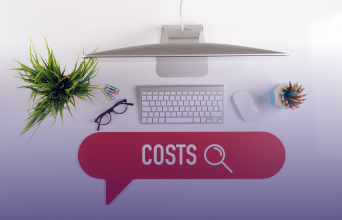 How Much Does Professional Website Development Cost_